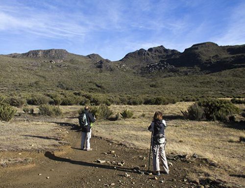 Cerro Chirripó Tour