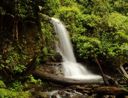 Kilo Waterfalls One Day Tour